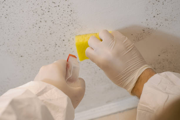 Mold Remediation for Vacation Homes in Marietta, GA